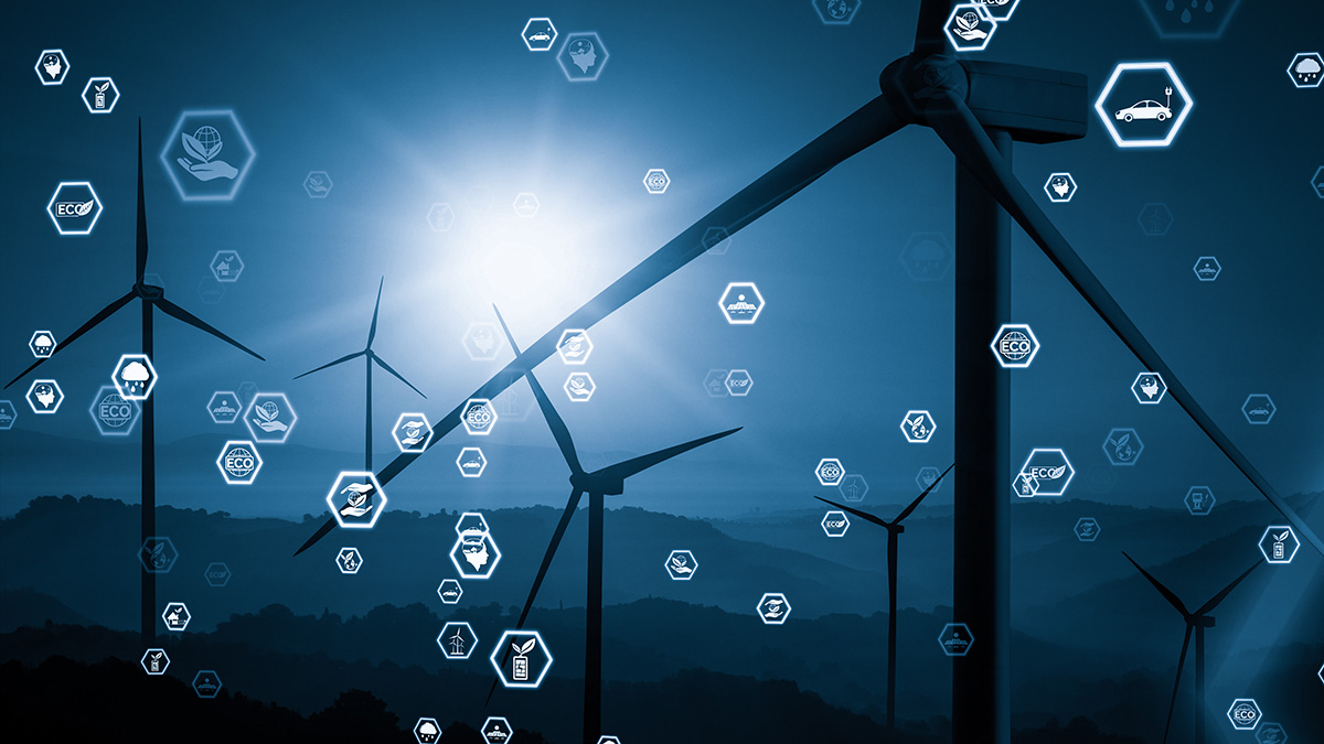 Decarbonisation Economy